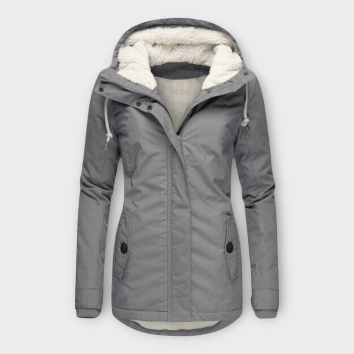 Insulated and Waterproof Winter Jacket