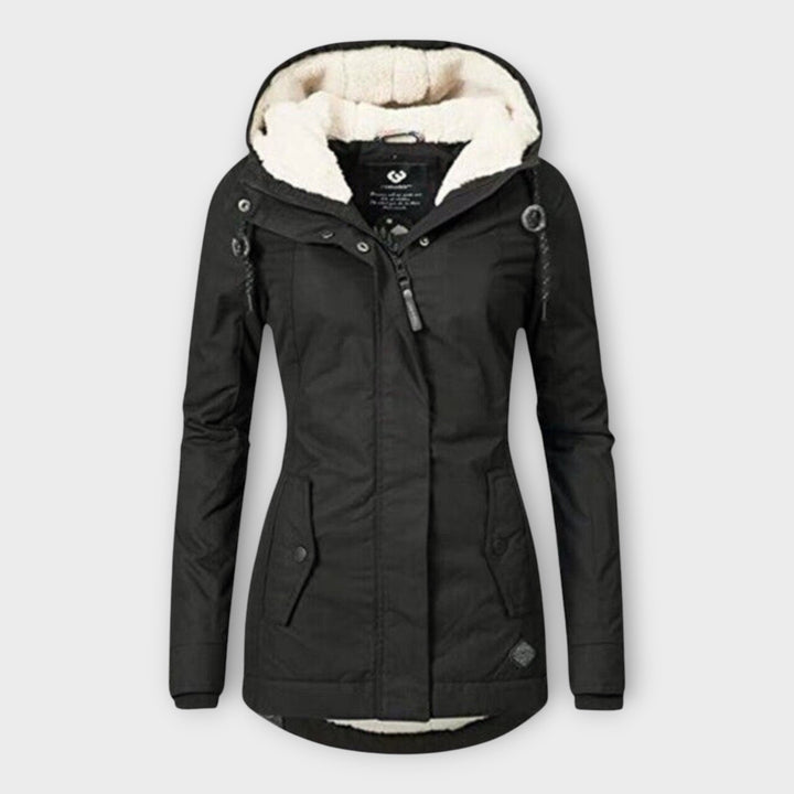 Insulated and Waterproof Winter Jacket
